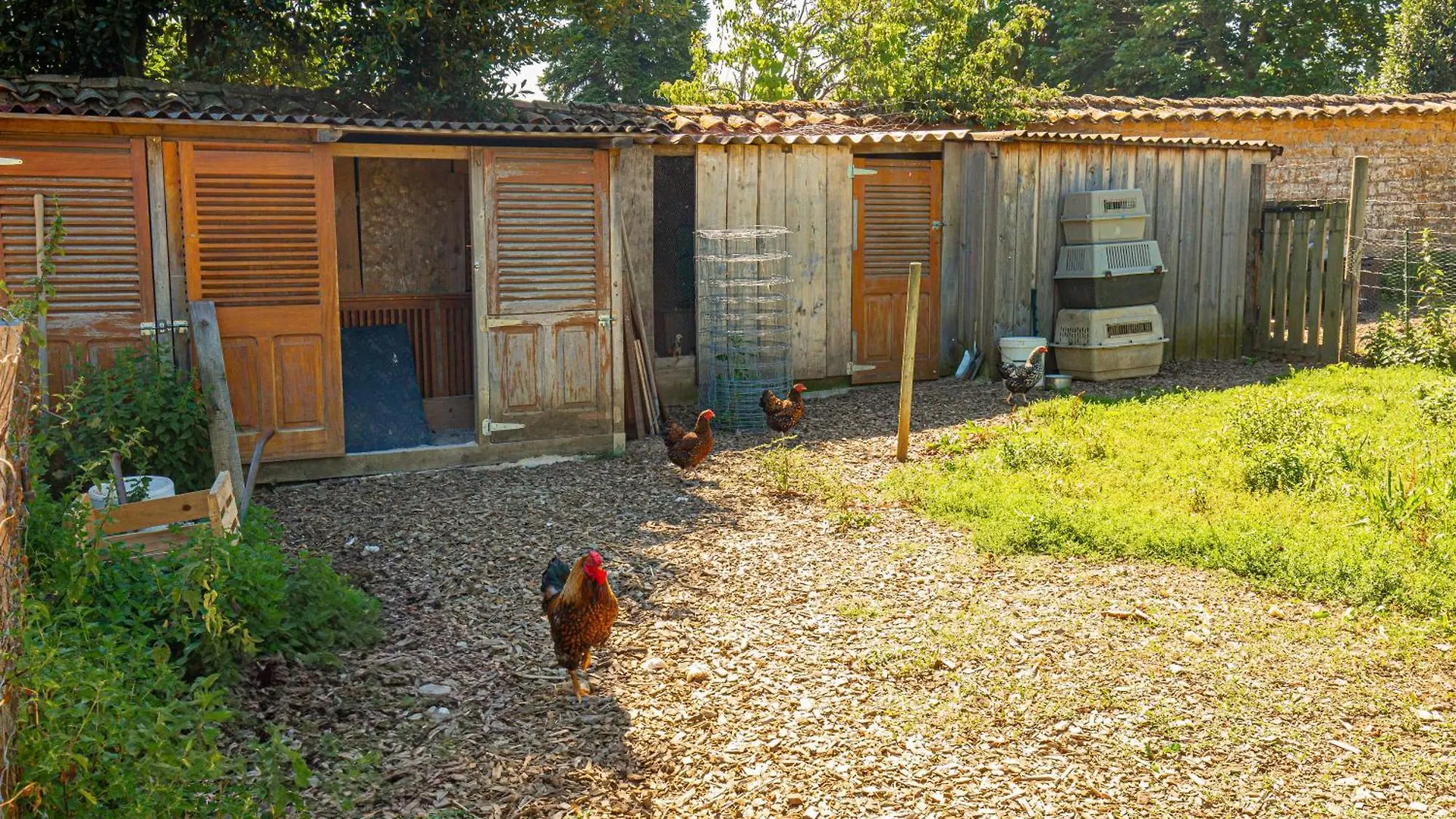 Ancien Cuvage Renove En Beaujolais Villa Denice Holiday home